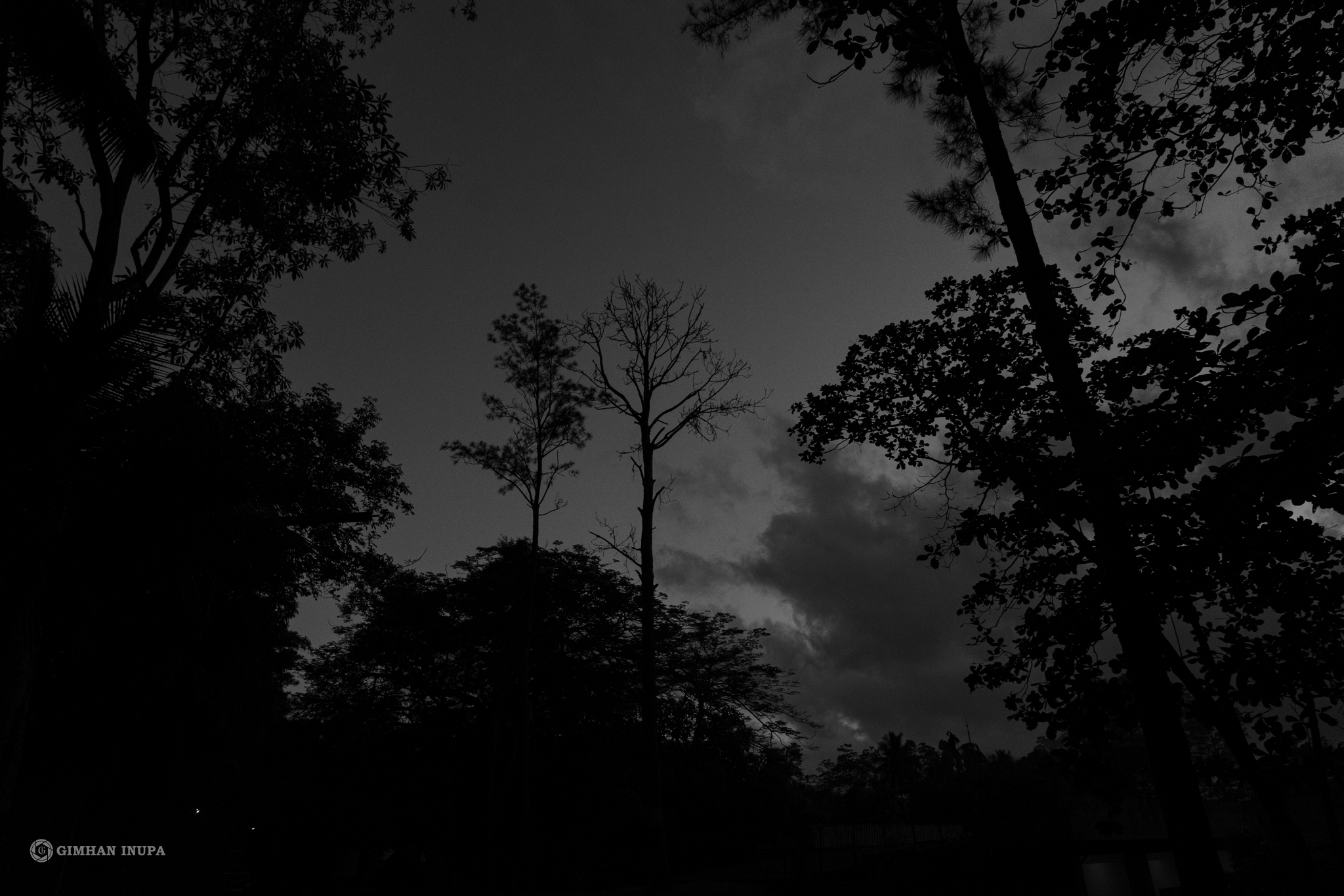 Ethereal-Evening Cover